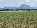 Rossfeld (261)